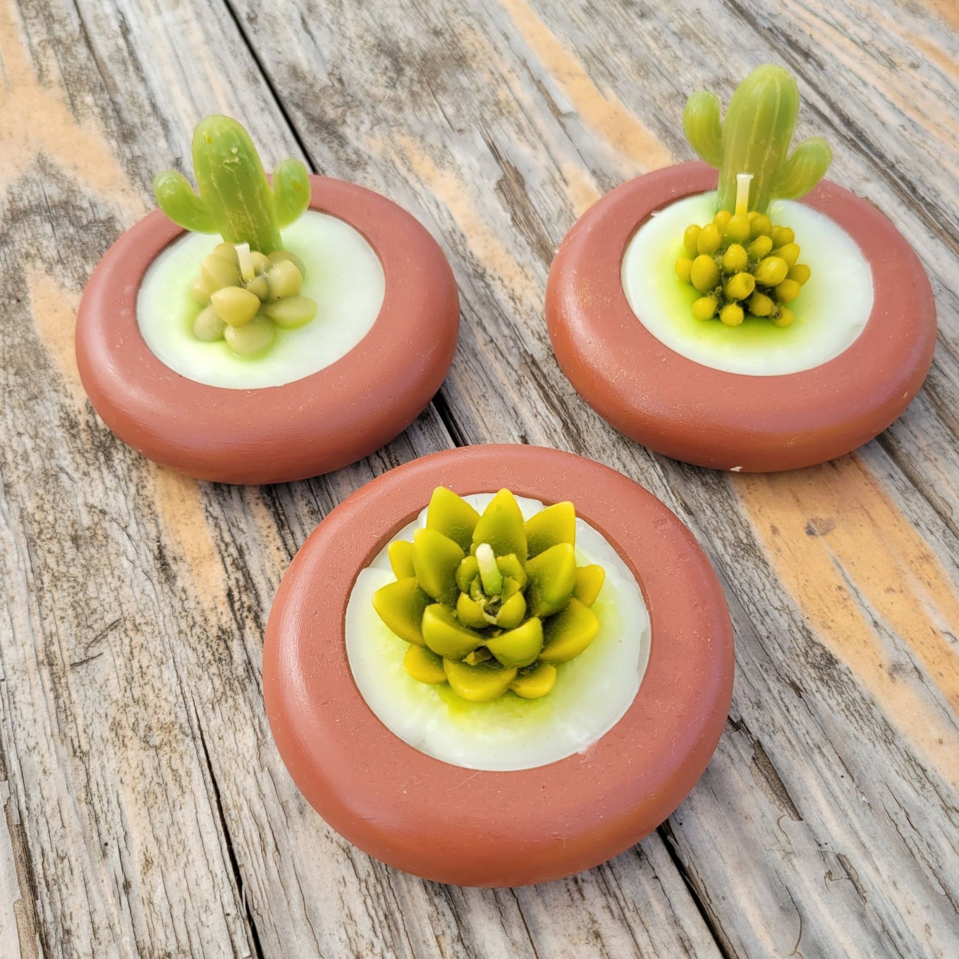 Three round succulent candles handmade in Mexico.