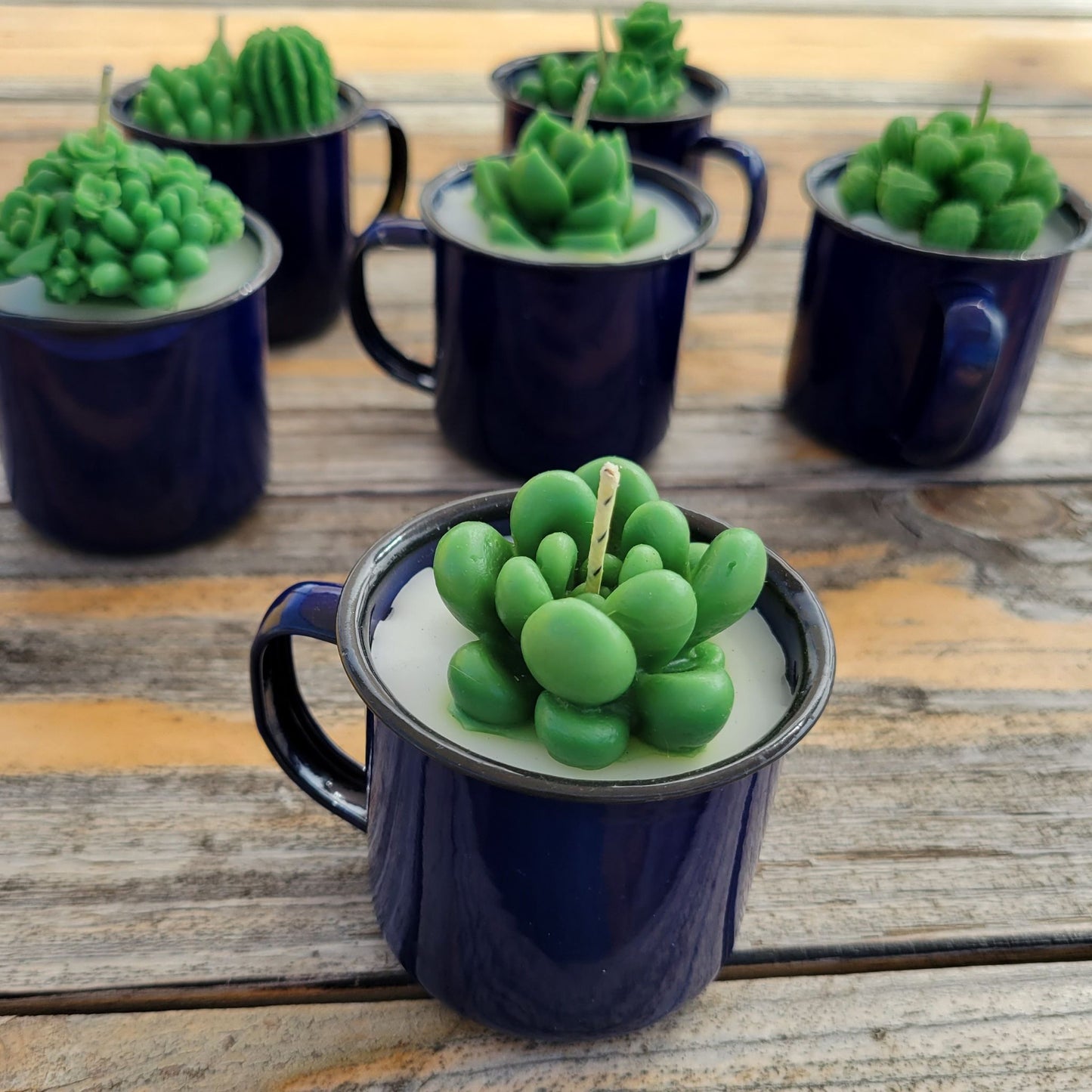 Cactus Candle in Blue Enamel Mug