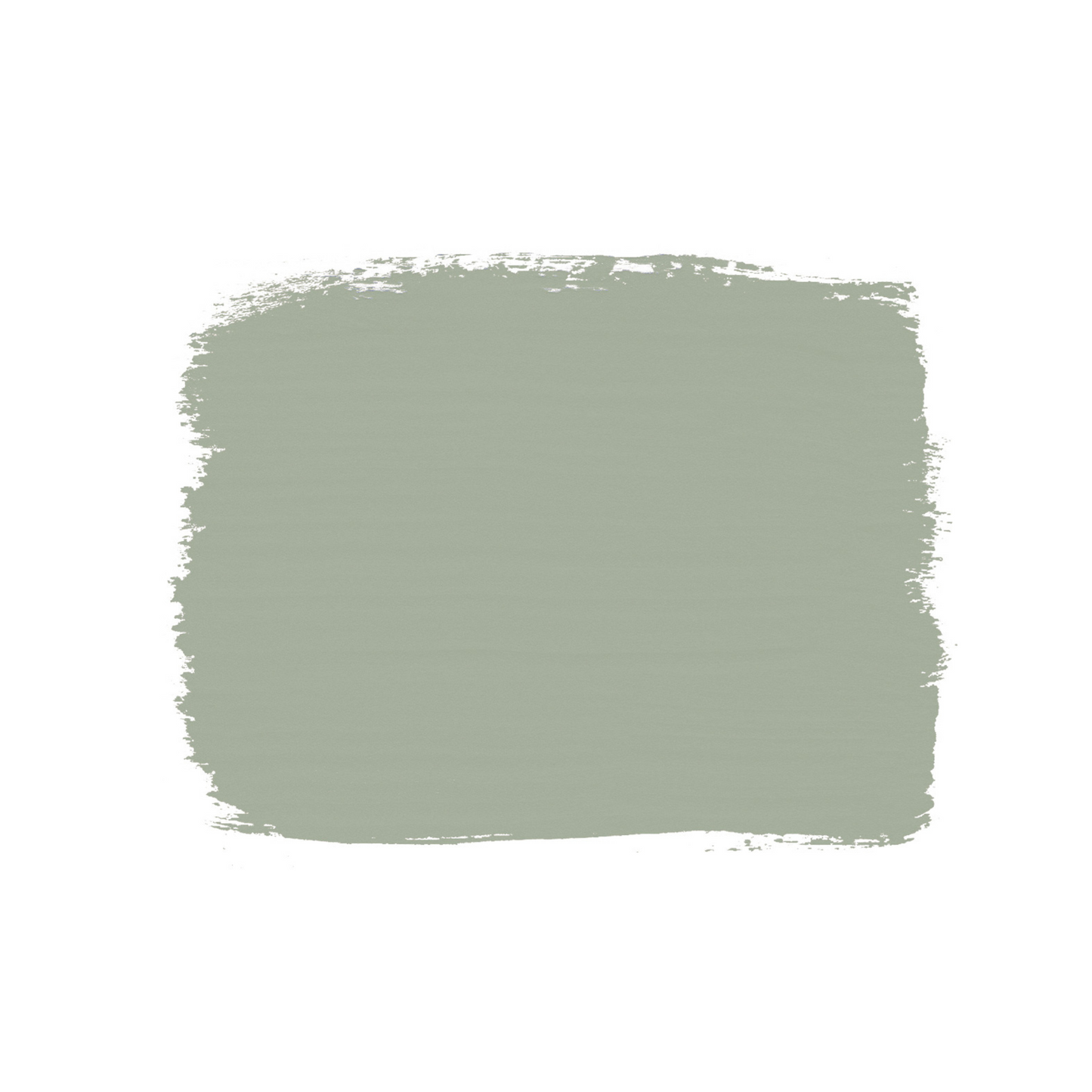Swatch of Coolabah Green Annie Sloan Chalk Paint.