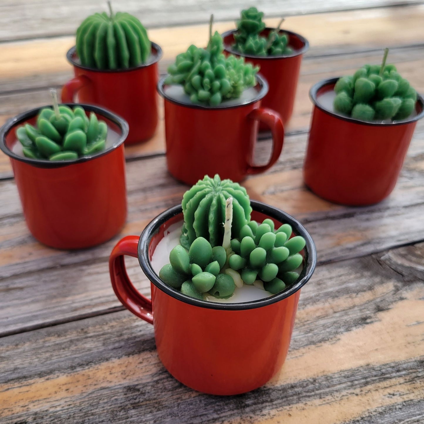 Six handmade cactus candles in red enamel mugs.