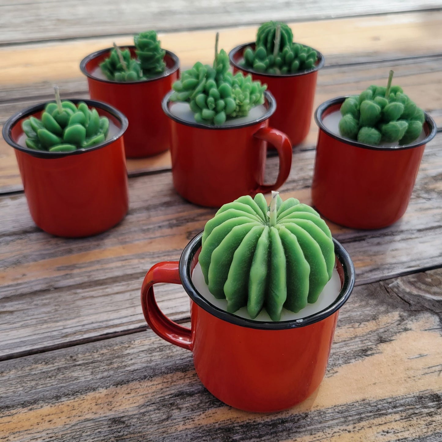 Six handmade cactus candles in red enamel mugs.