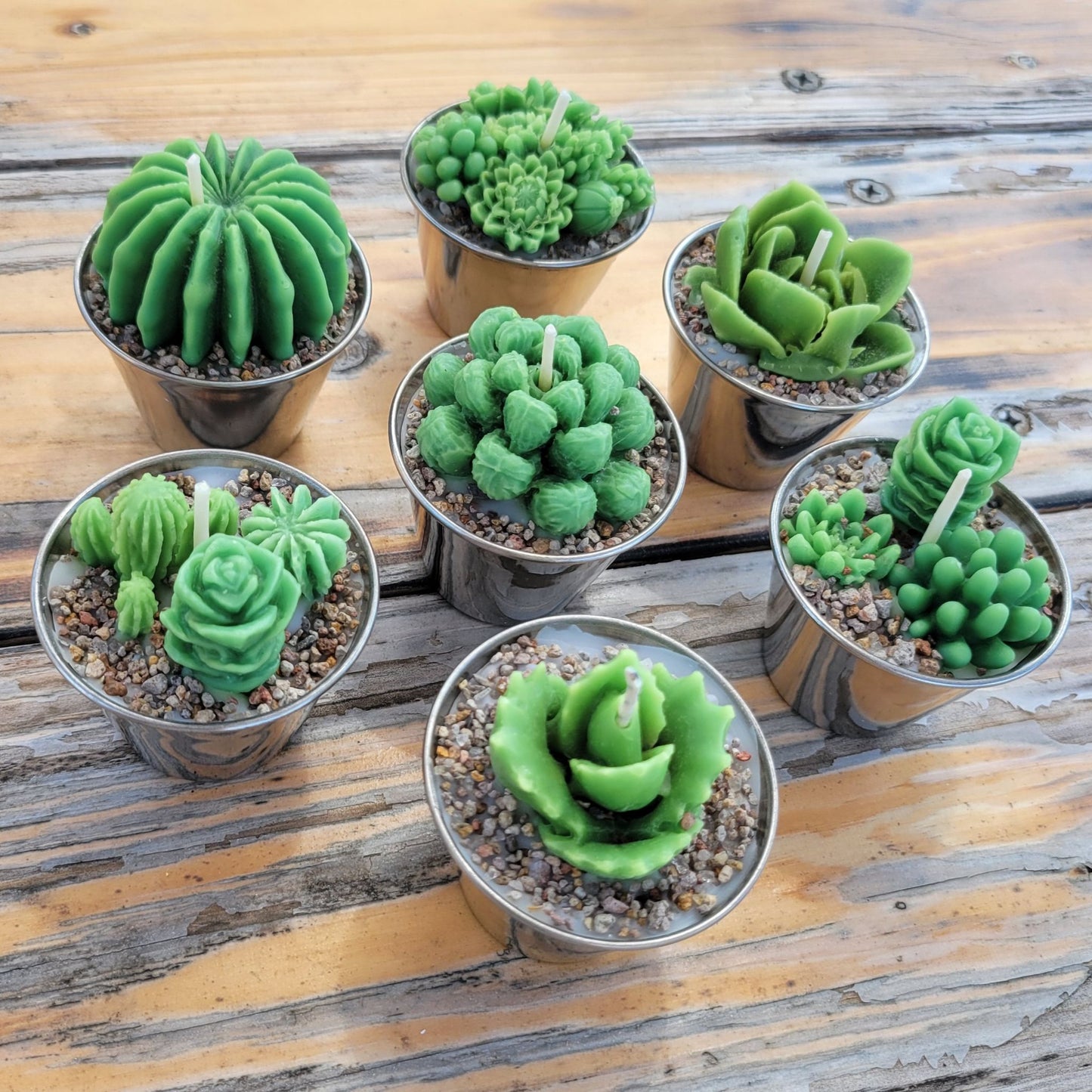 Seven handmade succulent candle in a stainless steel cup.