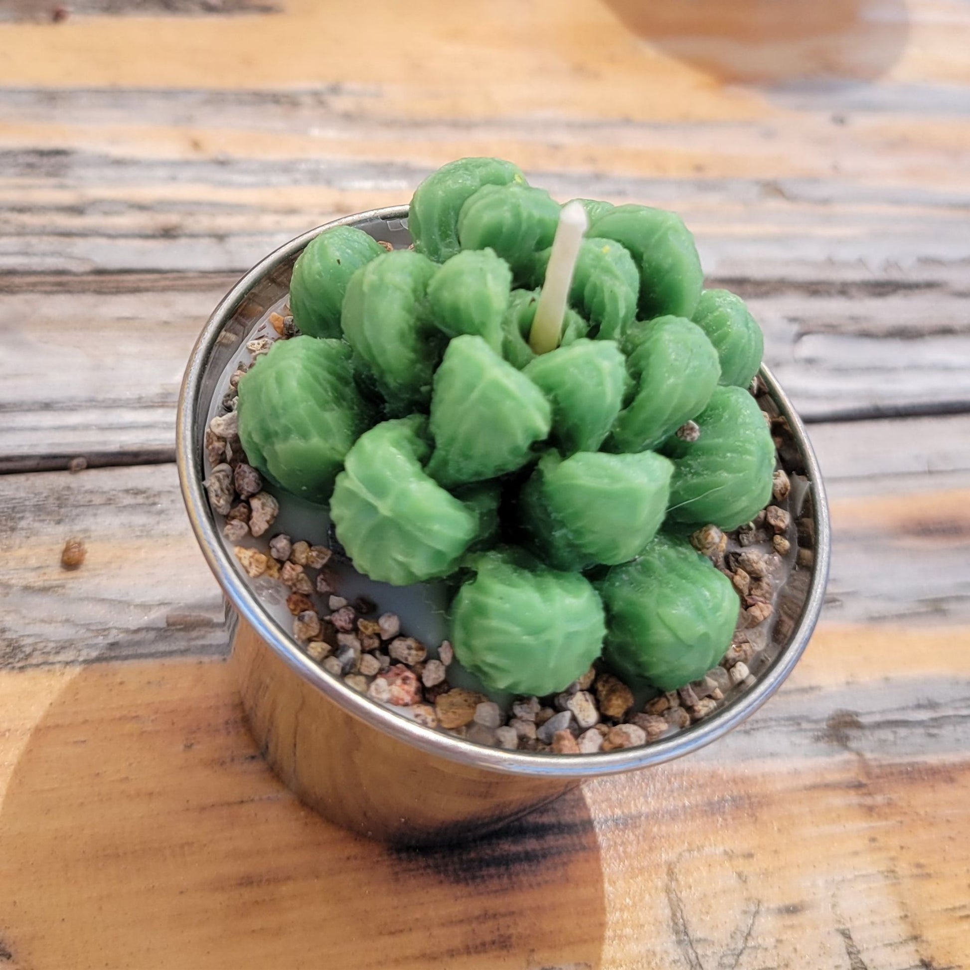 A handmade succulent candle in a stainless steel cup.
