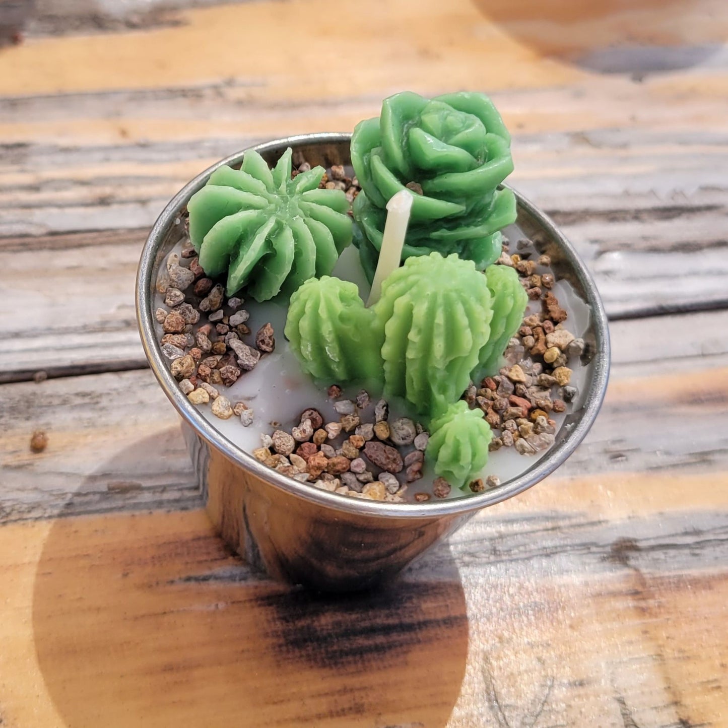 A handmade succulent candle in a stainless steel cup.