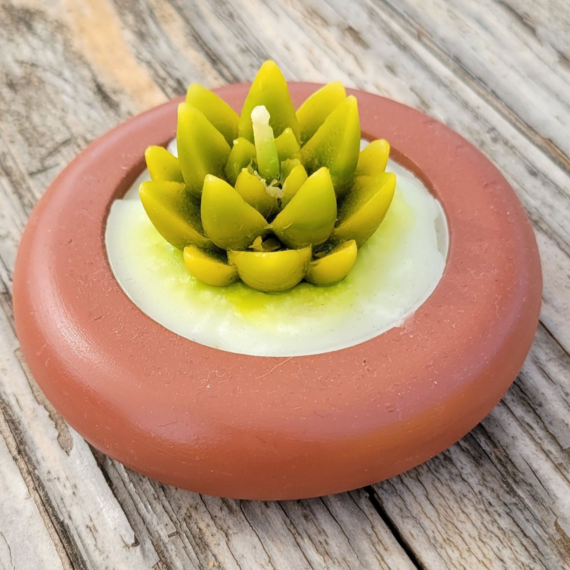 Round succulent candle handmade from Mexico.