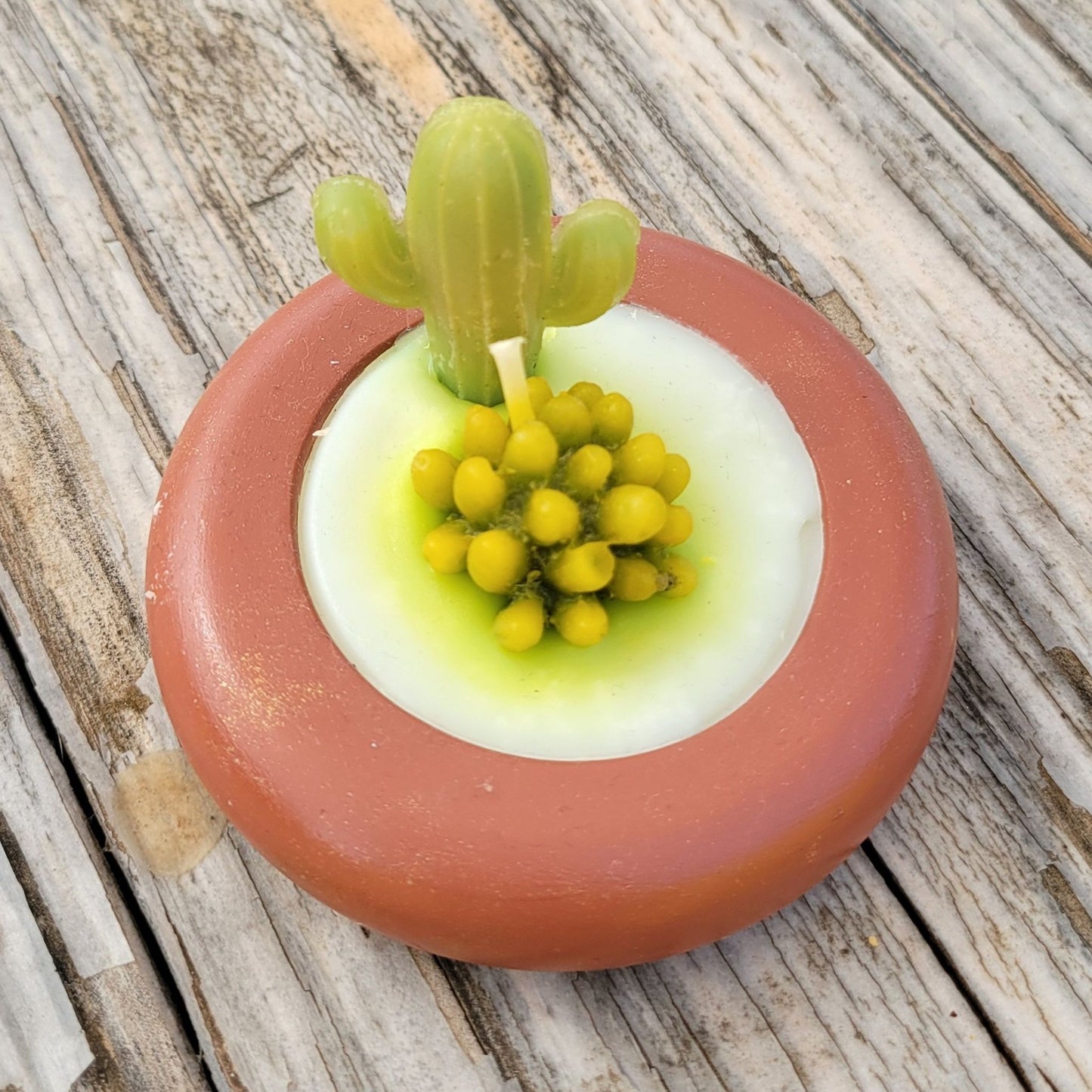 Round succulent candle handmade in Mexico, featuring two succulents.
