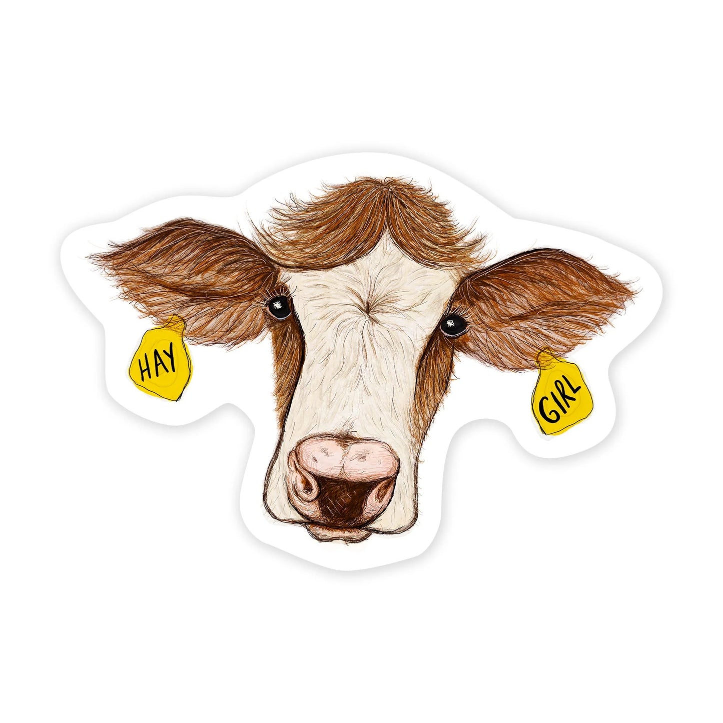 Hand drawn picture of a white and brown cow with earrings that say Hay Girl.