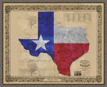 Texas Color Map - Print